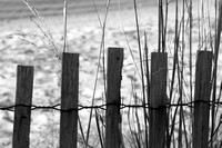 Yorktown Beach Virginia Fence 1