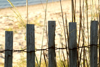 Yorktown Beach Virginia Fence