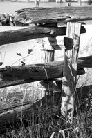 Yorktown Beach Virginia log Fence 1